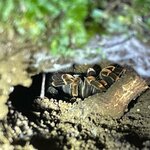 Photo taken by Darla D