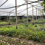 Photo taken by Ross V