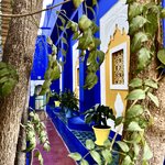 Photo taken by colleen o