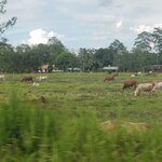 Photo taken by Tracye P