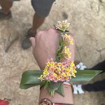 Photo taken by NgocBich L