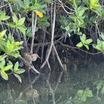 Photo taken by Gary W