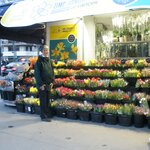 Photo taken by Kathryne M