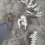 Photo taken by SANDRA V