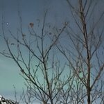 Photo taken by Sally L