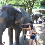 Photo taken by Bijal P