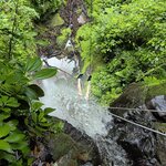 Photo taken by Peter B