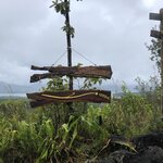 Photo taken by Anna L