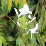 Photo taken by Stephen s