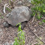 Photo taken by Thomas L