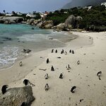 Photo taken by William R