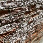 Photo taken by Amanda F