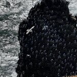 Photo taken by stefanie c