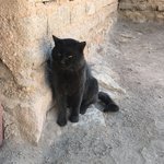 Photo taken by alton r