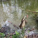 Photo taken by Jennifer H