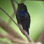 Photo taken by Dana F