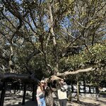 Photo taken by Madeleine S