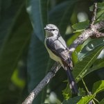 Photo taken by Graham D