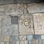 Photo taken by Raquel K