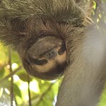 Photo taken by Martin L