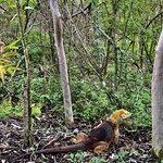 Photo taken by Katarzyna W