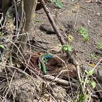 Photo taken by Tara V