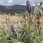 Photo taken by Priya R