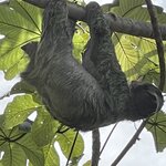 Photo taken by Hannah S