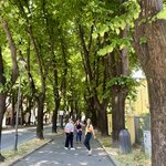 Photo taken by Erin J