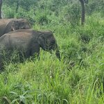 Photo taken by Tanya G