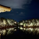 Photo taken by Annie A