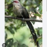 Photo taken by Karen S