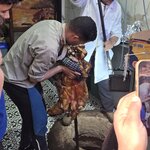 Photo taken by Shelley H