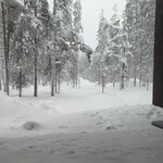 Photo taken by Monique V