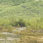 Photo taken by fred y