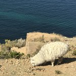 Photo taken by alton r