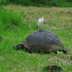 Photo taken by Natascia V