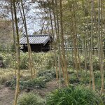 Photo taken by Norma M