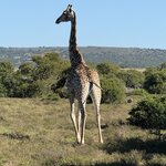 Photo taken by Martin D