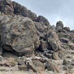 Photo taken by Michael L