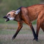 Photo taken by Matt W