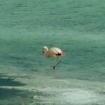 Photo taken by Joe S