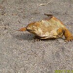 Photo taken by Richard P