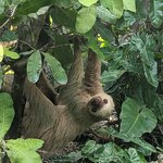 Photo taken by Jason C