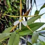 Photo taken by Brett F