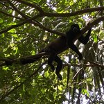 Photo taken by Donna G