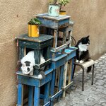 Photo taken by Betsy V