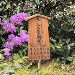 Photo taken by Ian M