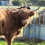 Photo taken by Kathleen L