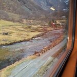 Photo taken by Kim R